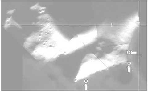 PEL image